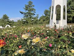 -名花谷生态庄园