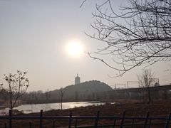 -永定河休闲森林公园