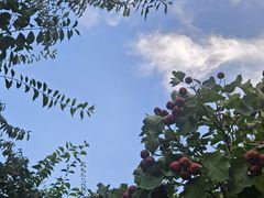 -蘭亭花園(兰州中心店)