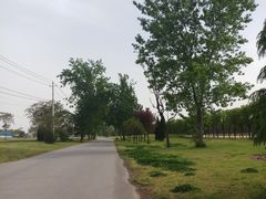 -汉长安城未央宫国家考古遗址公园