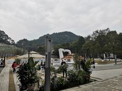 -南山植物园
