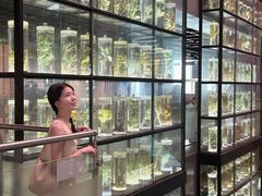 -广东中医药博物馆