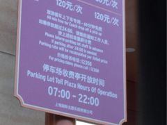 -迪士尼乐园停车场