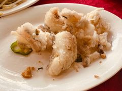 椒盐九肚鱼-蛇口康乐快餐鱼仔档(翠苑小区店)