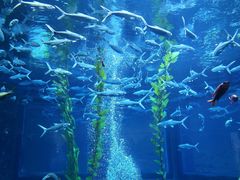 -南昌融创海世界
