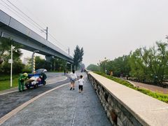 -宝安西湾红树林湿地公园