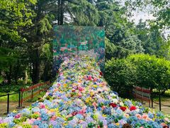 -上海共青森林公园