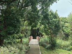 -同里国家湿地公园