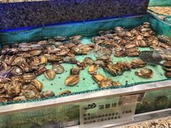 鲍鱼-初色海鲜自助(万丰路店)