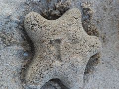 -汕头中海黄金海岸水上乐园