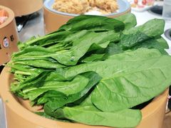 -龍歌自助小火锅(崂山丽达店)