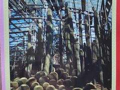 -南山植物园