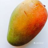 爱上夏日甜品系列之芒果西瓜酸奶