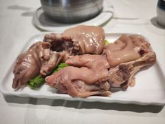 -丁老爷子苏香圆