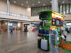 -谢列梅捷沃国际机场