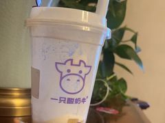 -一只酸奶牛(曲江龙湖星悦荟店)