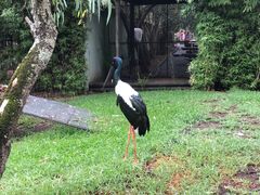 -费瑟代尔野生动物园