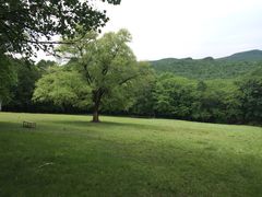 iphone_upload_pic-神鹿雪场
