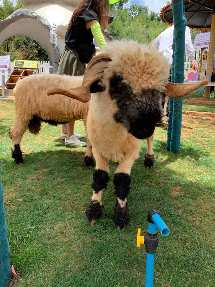 "-大众点评移动版