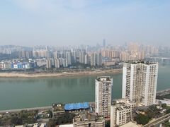 -李子坝梁山鸡(李子坝大鸡哥店)