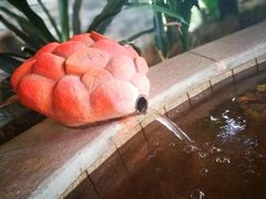 -福州贵安·温泉世界