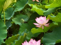 -四川大学(华西校区)