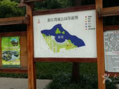 -新江湾城公园