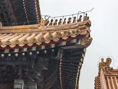 -花家怡园(四合院总店)