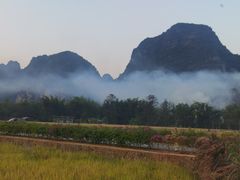 -明仕田园