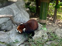 -常州淹城野生动物世界