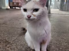 -双季花艺园艺市场(浦东店)