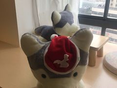 -Husky Go! 哈士奇体验馆·宠物咖啡厅狗咖