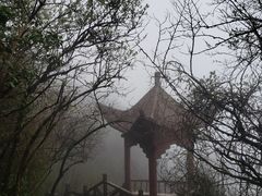 -梵净山旅游区