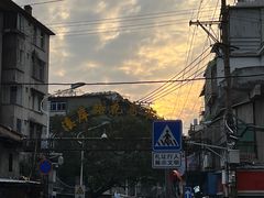 -溪岸路花鸟市场