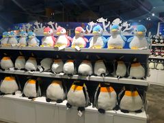 -成都浩海立方海洋公园