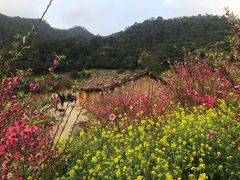 -广州市石门国家森林公园