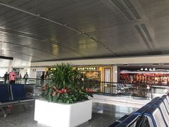 -石家庄正定国际机场-T2航站楼