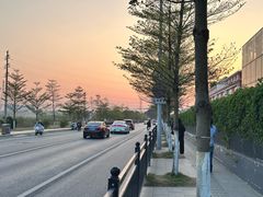 -长洲岛
