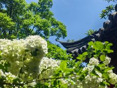 -常熟方塔园