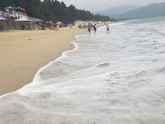 -西涌国际滨海旅游区