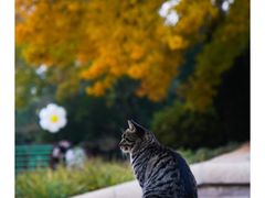 -石家庄市植物园