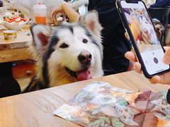 -李小姐の猫咖啡馆(五角场店)