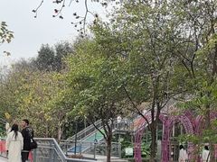 -佛山华盖山公园