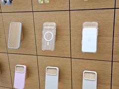 -Apple 零售店(Canton Road)