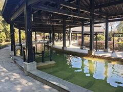 -三江森林温泉度假区