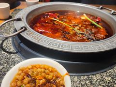 -杨肥肠火锅大排档(火车站花园店)