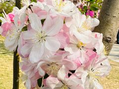 -元大都城垣遗址公园