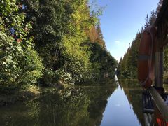 -上海长兴岛郊野公园