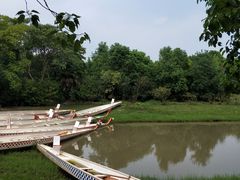 -上海海湾国家森林公园