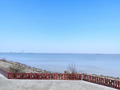 -上海滨江森林公园